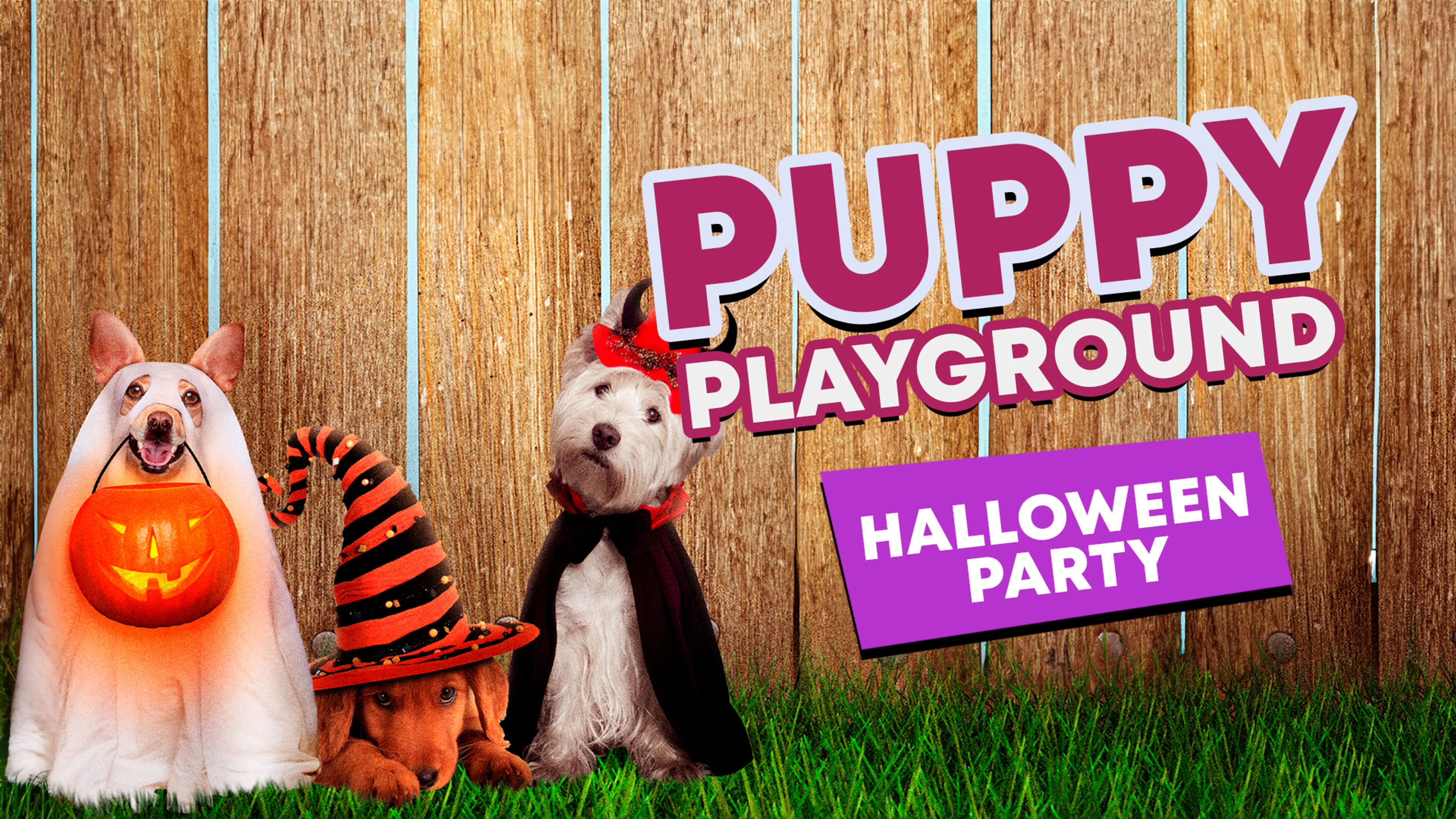 Puppy Playground: Halloween Party poster